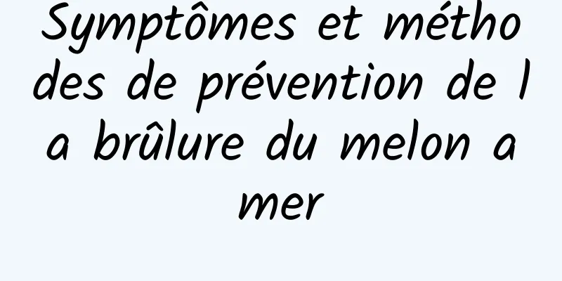 Symptômes et méthodes de prévention de la brûlure du melon amer