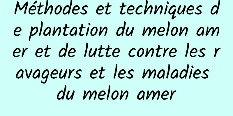 Méthodes et techniques de plantation du melon amer et de lutte contre les ravageurs et les maladies du melon amer