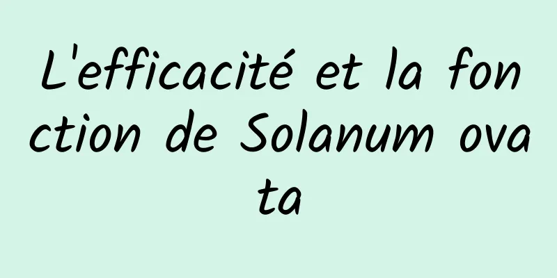 L'efficacité et la fonction de Solanum ovata