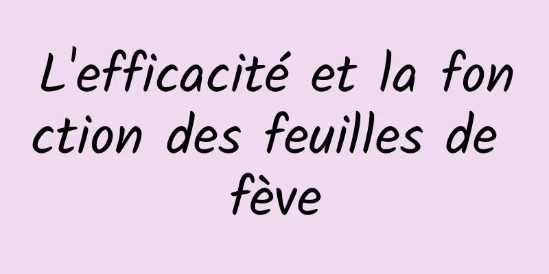 L'efficacité et la fonction des feuilles de fève