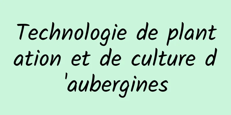 Technologie de plantation et de culture d'aubergines