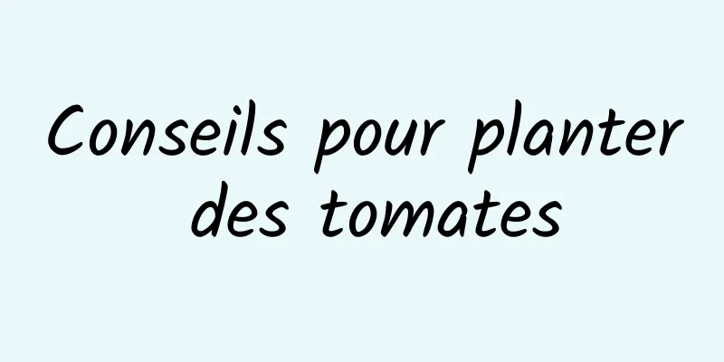 Conseils pour planter des tomates