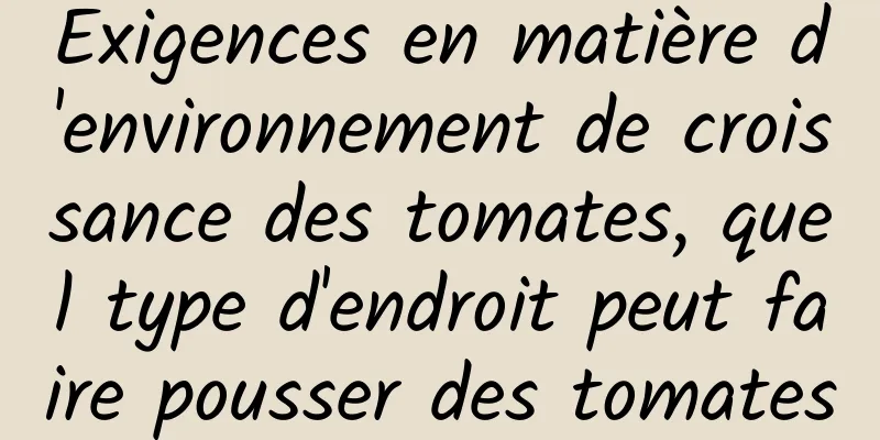 Exigences en matière d'environnement de croissance des tomates, quel type d'endroit peut faire pousser des tomates