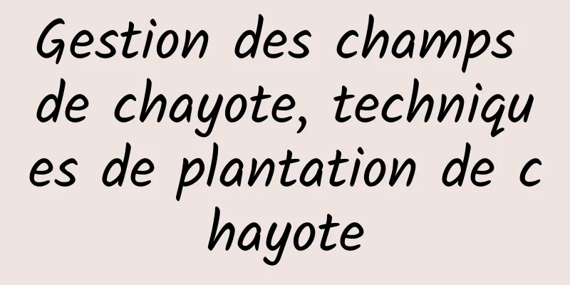 Gestion des champs de chayote, techniques de plantation de chayote