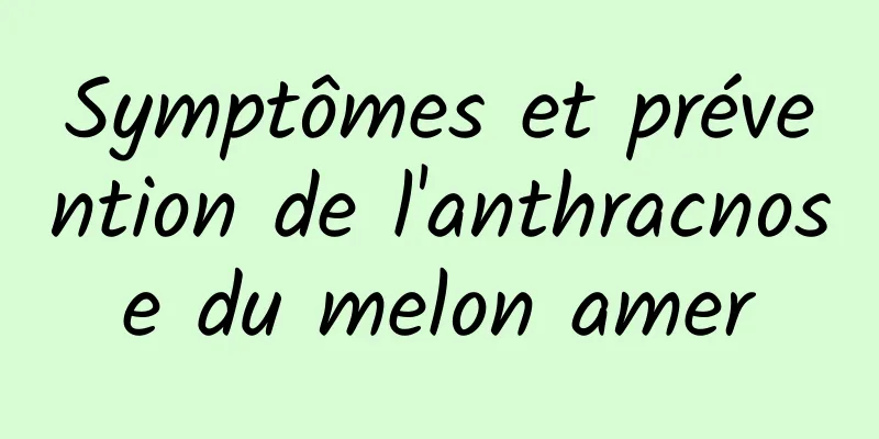 Symptômes et prévention de l'anthracnose du melon amer