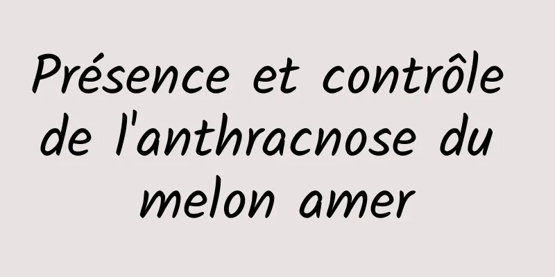 Présence et contrôle de l'anthracnose du melon amer