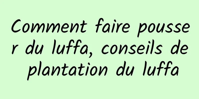 Comment faire pousser du luffa, conseils de plantation du luffa