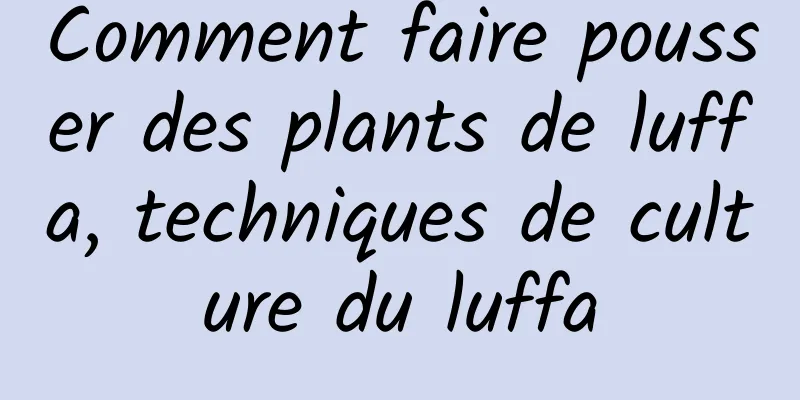 Comment faire pousser des plants de luffa, techniques de culture du luffa