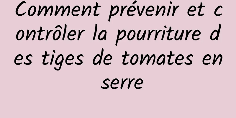 Comment prévenir et contrôler la pourriture des tiges de tomates en serre