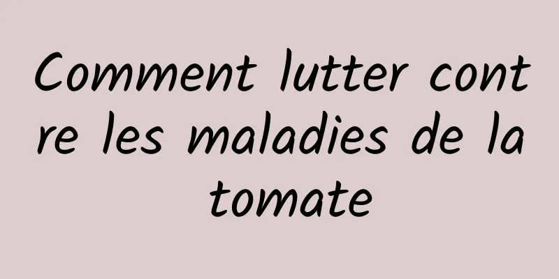 Comment lutter contre les maladies de la tomate