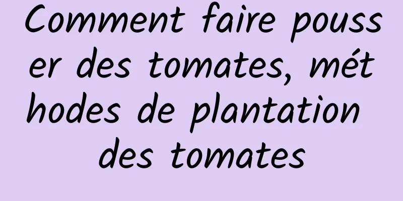 Comment faire pousser des tomates, méthodes de plantation des tomates