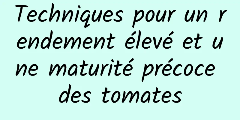 Techniques pour un rendement élevé et une maturité précoce des tomates