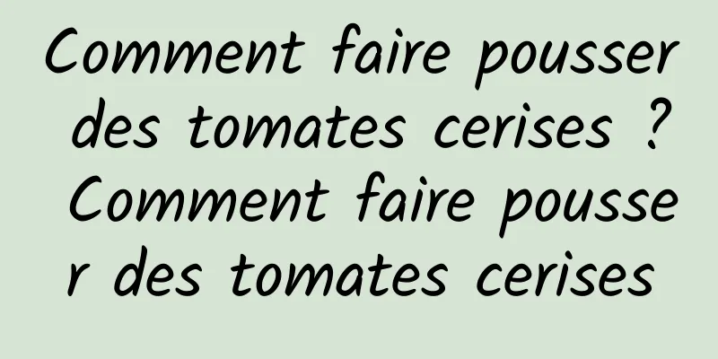 Comment faire pousser des tomates cerises ? Comment faire pousser des tomates cerises