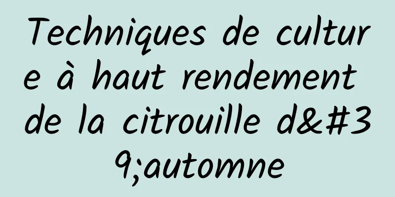 Techniques de culture à haut rendement de la citrouille d'automne