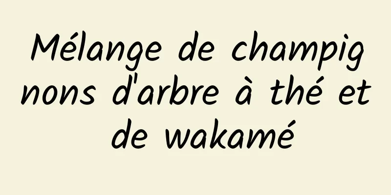 Mélange de champignons d'arbre à thé et de wakamé