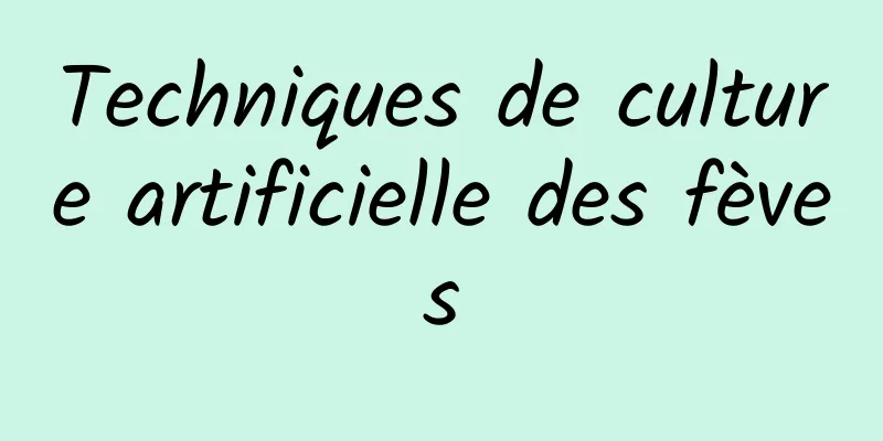 Techniques de culture artificielle des fèves