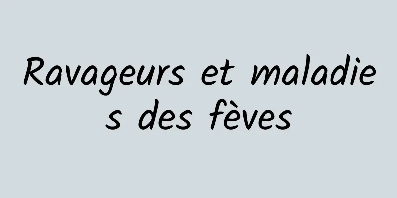 Ravageurs et maladies des fèves