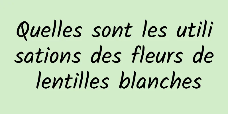 Quelles sont les utilisations des fleurs de lentilles blanches