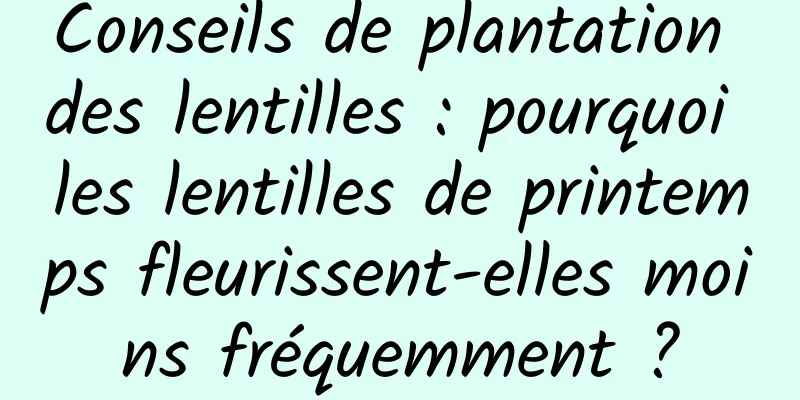 Conseils de plantation des lentilles : pourquoi les lentilles de printemps fleurissent-elles moins fréquemment ?