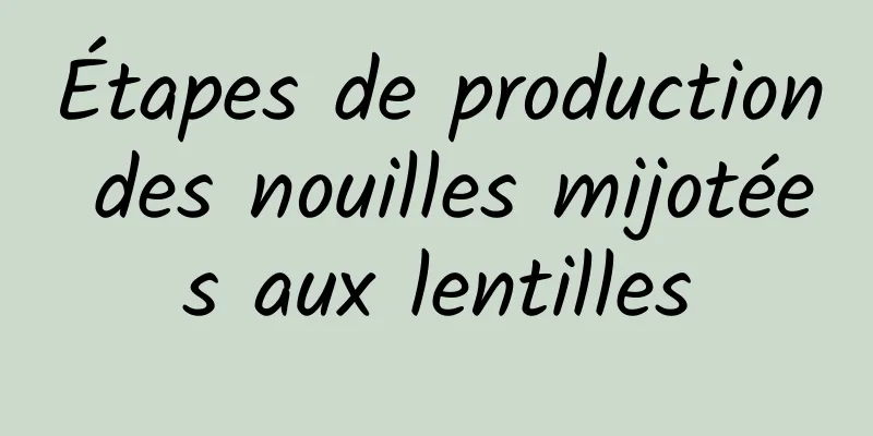 Étapes de production des nouilles mijotées aux lentilles