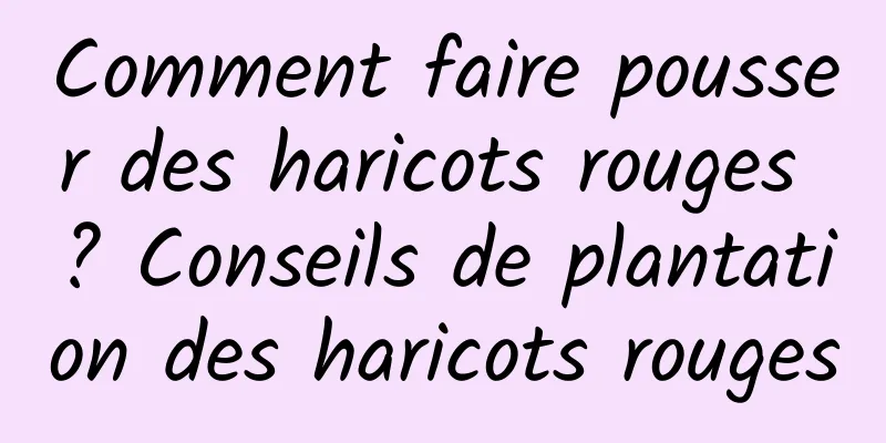 Comment faire pousser des haricots rouges ? Conseils de plantation des haricots rouges