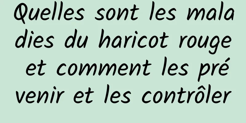 Quelles sont les maladies du haricot rouge et comment les prévenir et les contrôler