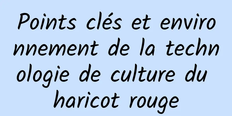 Points clés et environnement de la technologie de culture du haricot rouge