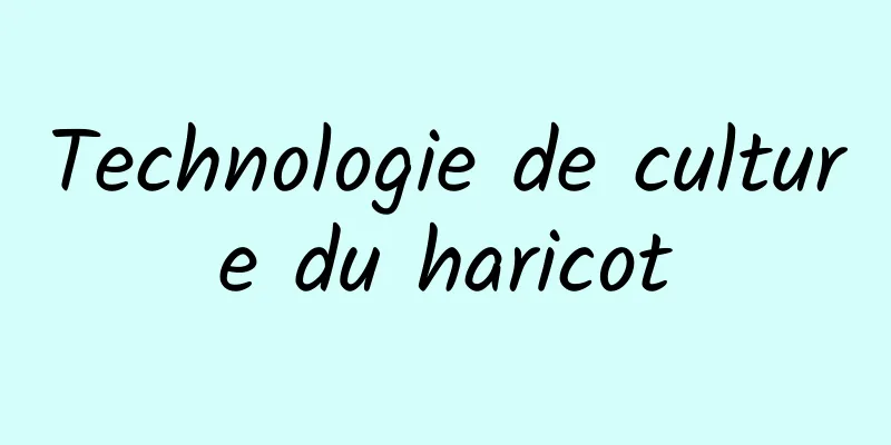 Technologie de culture du haricot