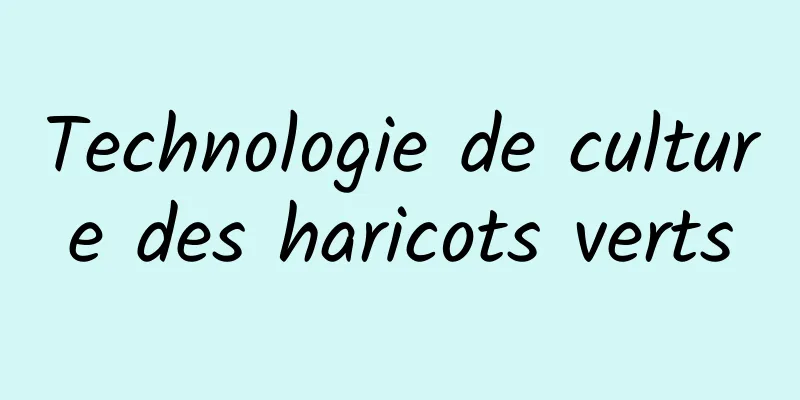 Technologie de culture des haricots verts