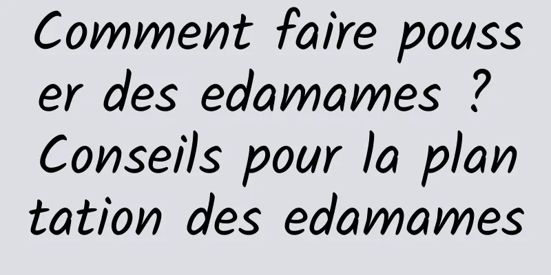 Comment faire pousser des edamames ? Conseils pour la plantation des edamames