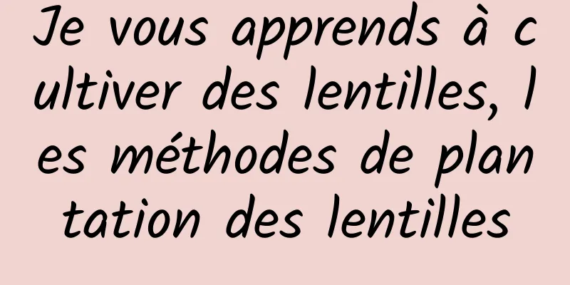 Je vous apprends à cultiver des lentilles, les méthodes de plantation des lentilles