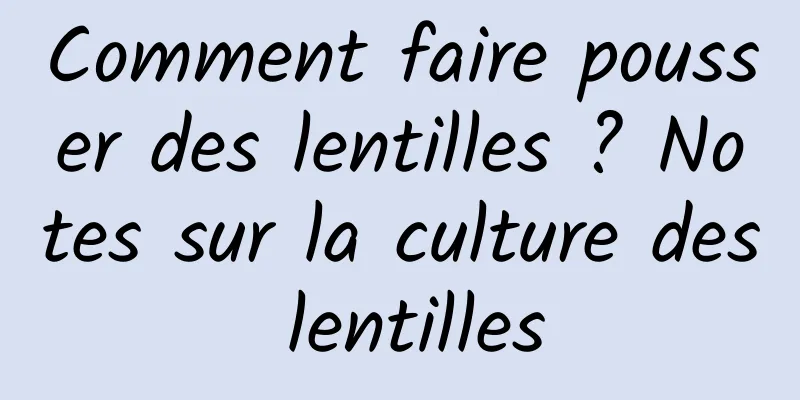 Comment faire pousser des lentilles ? Notes sur la culture des lentilles