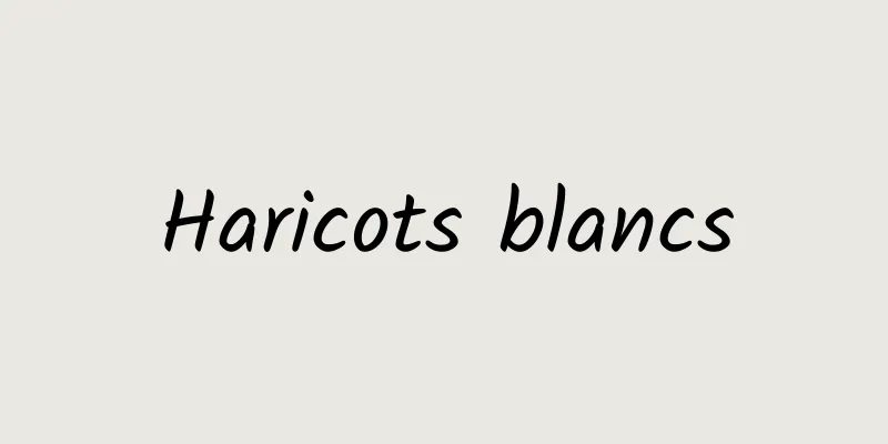 Haricots blancs