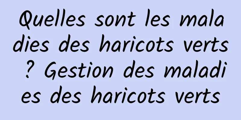 Quelles sont les maladies des haricots verts ? Gestion des maladies des haricots verts