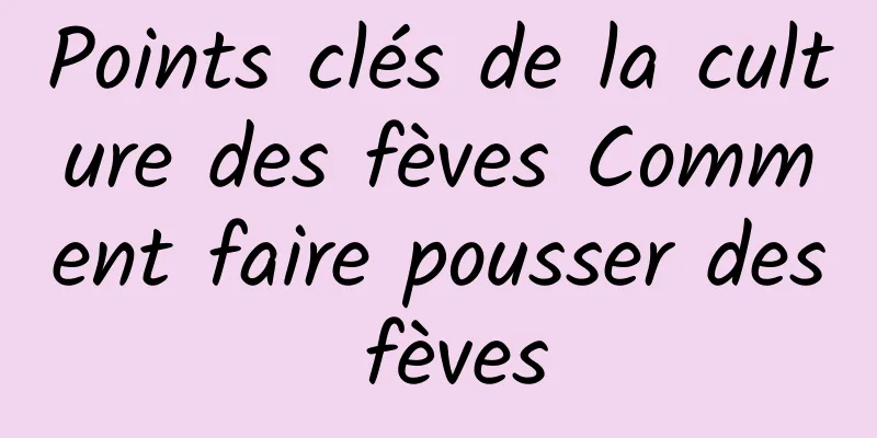 Points clés de la culture des fèves Comment faire pousser des fèves