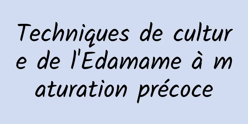 Techniques de culture de l'Edamame à maturation précoce