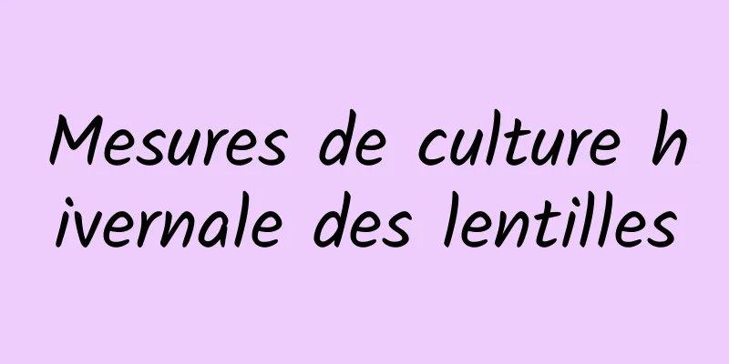 Mesures de culture hivernale des lentilles