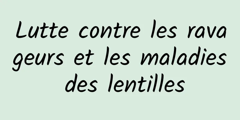 Lutte contre les ravageurs et les maladies des lentilles