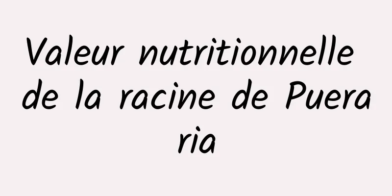 Valeur nutritionnelle de la racine de Pueraria