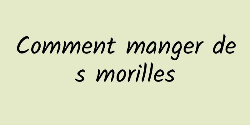 Comment manger des morilles