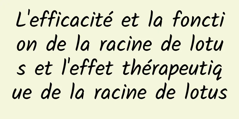 L'efficacité et la fonction de la racine de lotus et l'effet thérapeutique de la racine de lotus