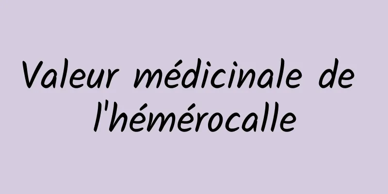 Valeur médicinale de l'hémérocalle