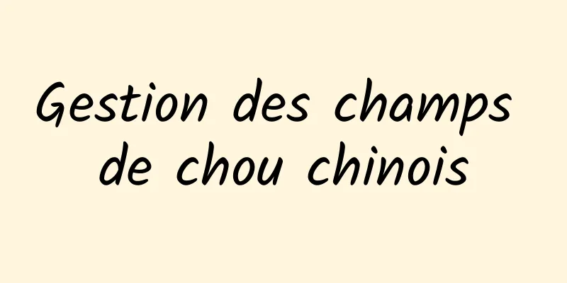 Gestion des champs de chou chinois