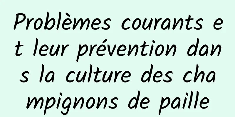 Problèmes courants et leur prévention dans la culture des champignons de paille