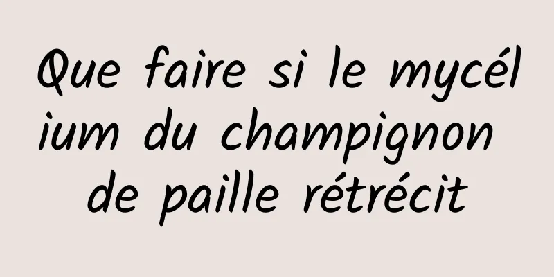 Que faire si le mycélium du champignon de paille rétrécit