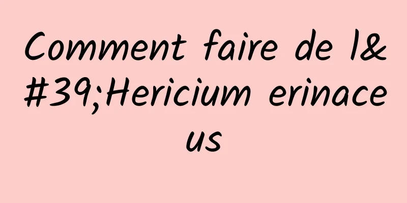 Comment faire de l'Hericium erinaceus