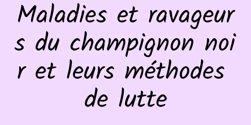 Maladies et ravageurs du champignon noir et leurs méthodes de lutte