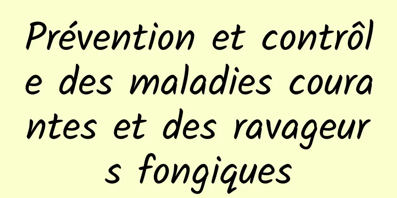 Prévention et contrôle des maladies courantes et des ravageurs fongiques