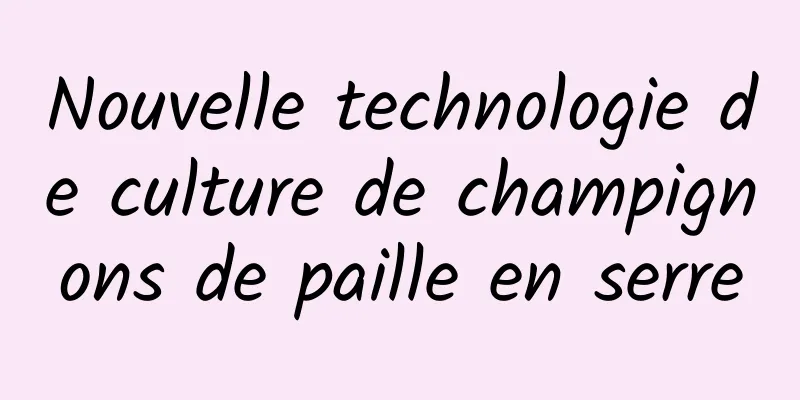 Nouvelle technologie de culture de champignons de paille en serre