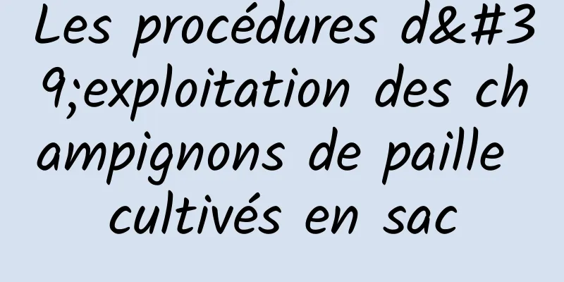 Les procédures d'exploitation des champignons de paille cultivés en sac